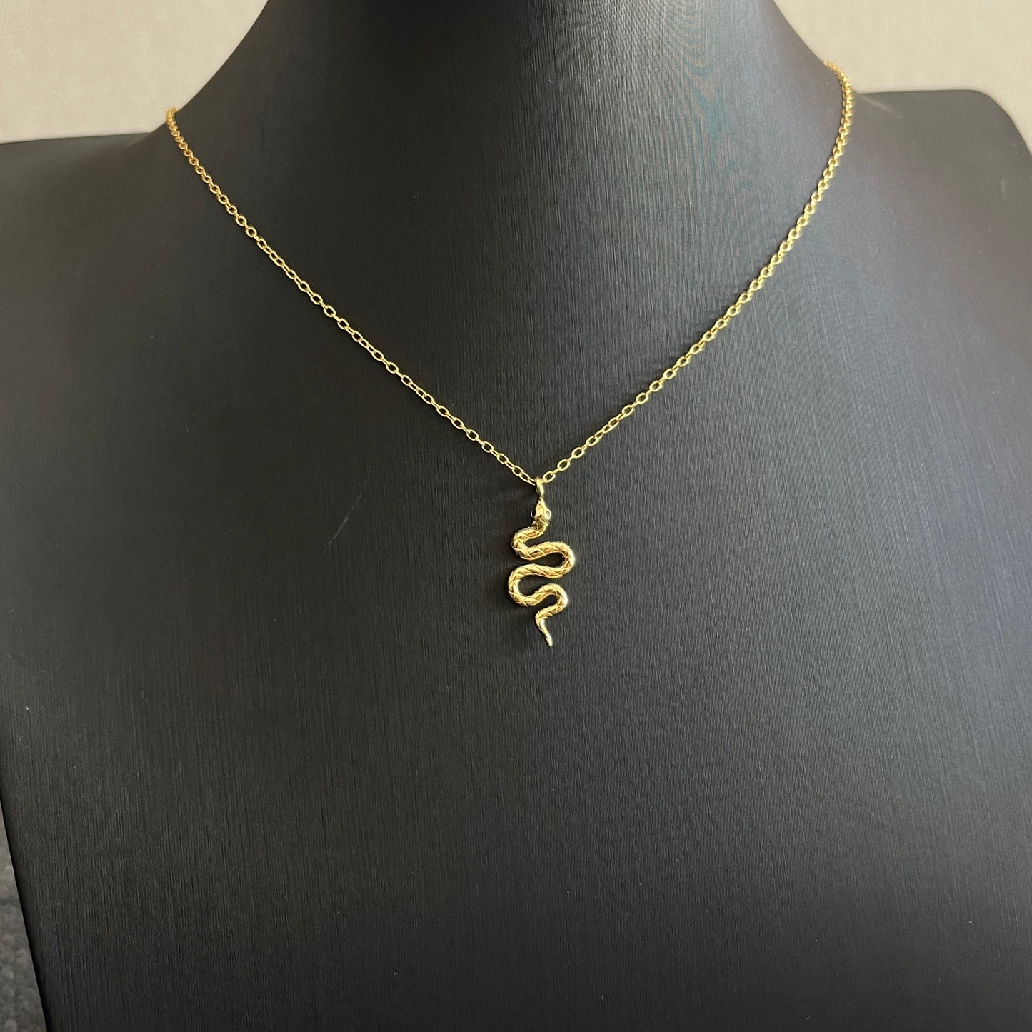 Cadenita de plata con dije de SERPIENTE